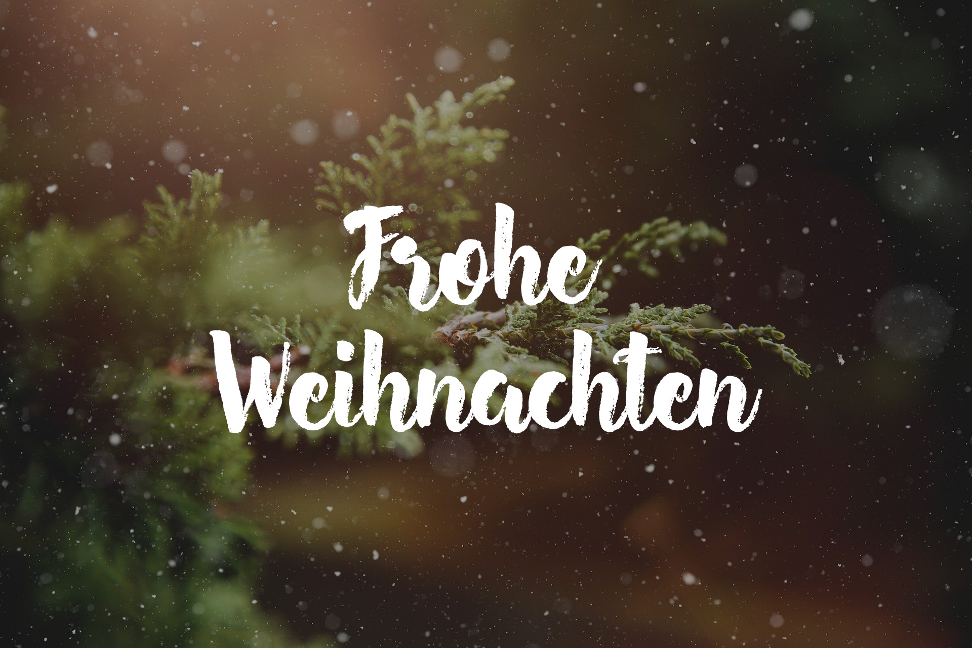 Frohe Weihnachten - Eiserfelder Weiher